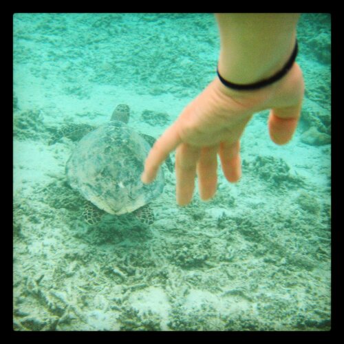 IMG_20130820_215556.jpg image