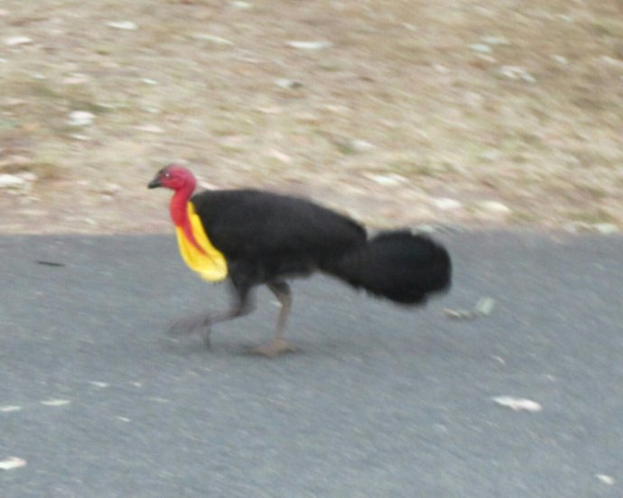 IMG_20131010_154327.JPG image