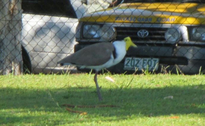 IMG_20131010_155904.JPG image