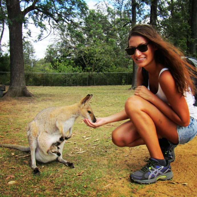 IMG_20131020_201156.jpg image