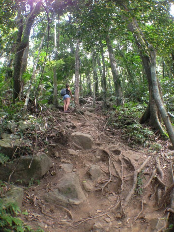 received_m_mid_1381311517524_e7d070d530f78b2550_0.jpeg image